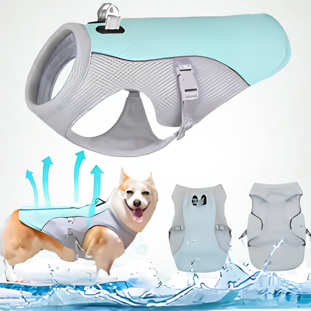 GILET RINFRESCANTE PER CANI