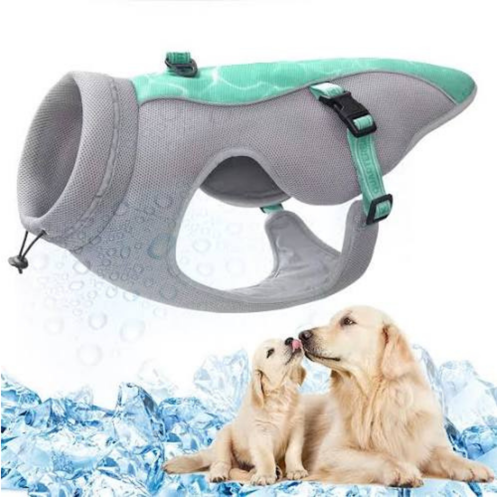 GILET RINFRESCANTE PER CANI