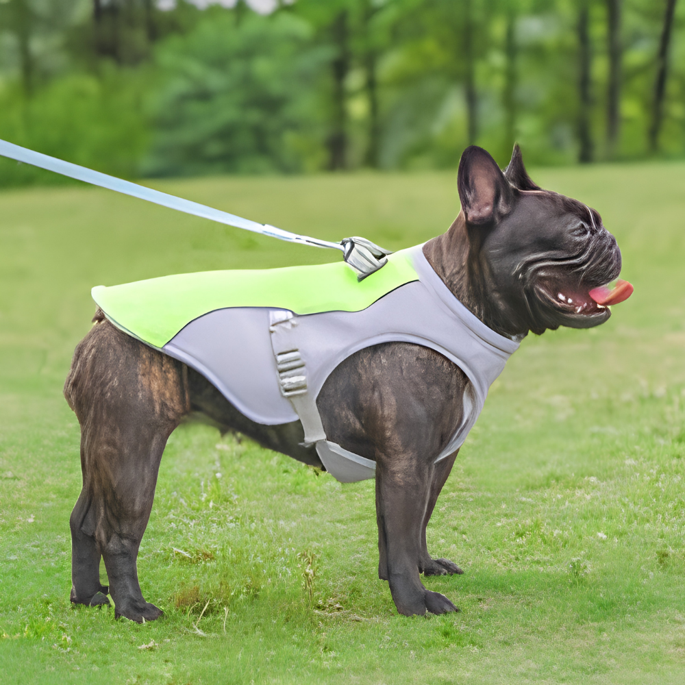 GILET RINFRESCANTE PER CANI