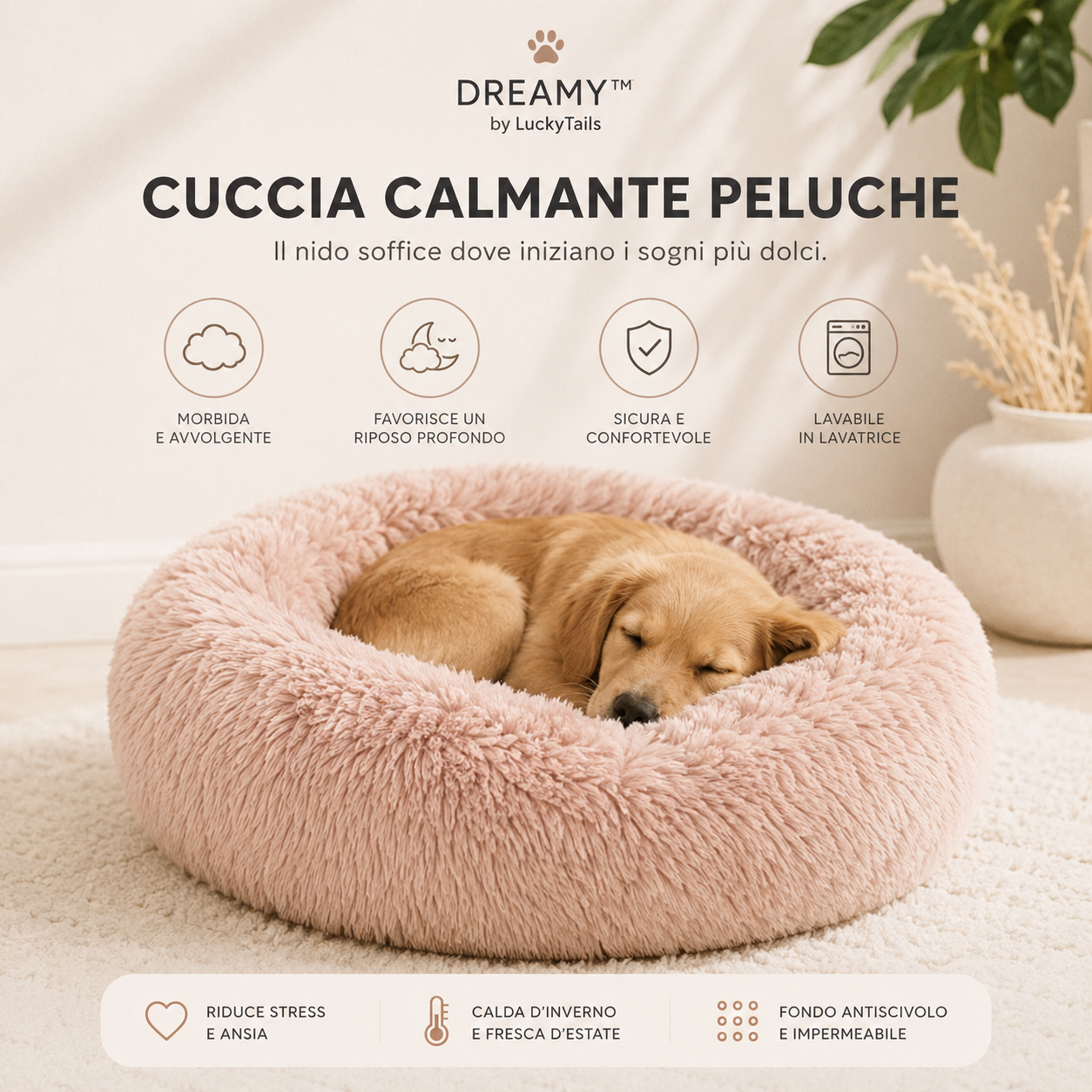 DREAMY™️|CUCCIA MORBIDA RILASSANTE